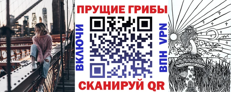 продажа наркотиков  Власиха  Галлюциногенные грибы Cubensis 